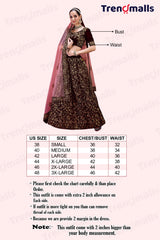 Women's Velvet Sequin Embroidery Lehenga Choli with Dupatta | Bridal Party Stylish Wedding Lehenga Choli for women